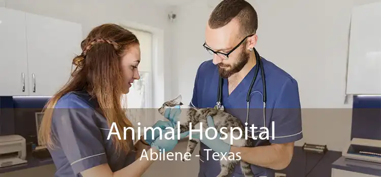 Animal Hospital Abilene - Texas