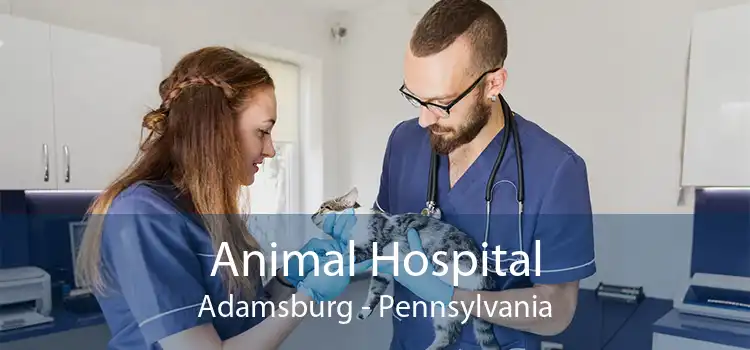 Animal Hospital Adamsburg - Pennsylvania