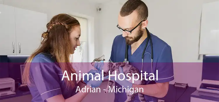Animal Hospital Adrian - Michigan