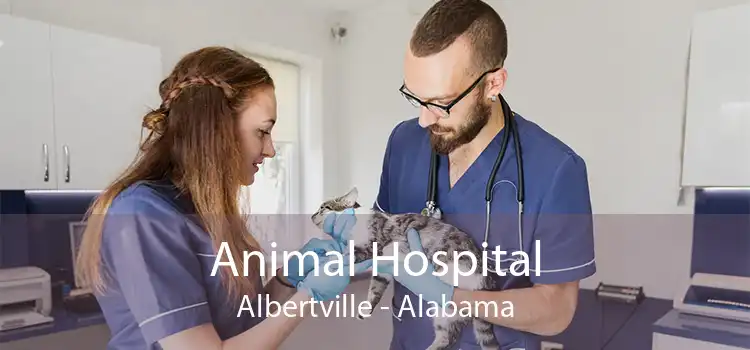 Animal Hospital Albertville - Alabama