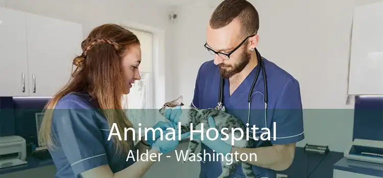 Animal Hospital Alder - Washington