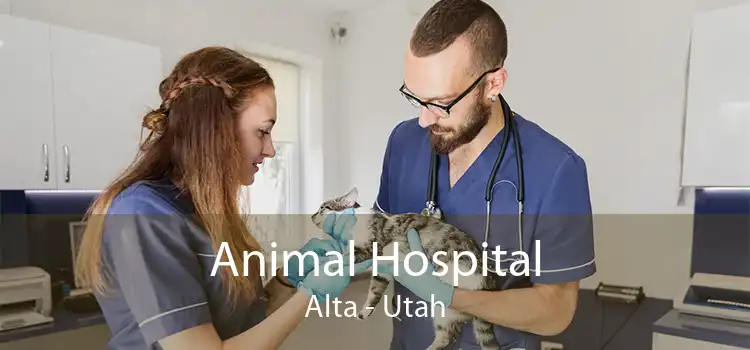 Animal Hospital Alta - Utah