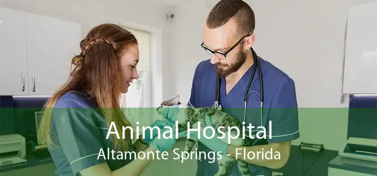 Animal Hospital Altamonte Springs - Florida