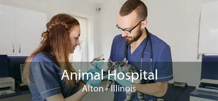 Animal Hospital Alton - Illinois