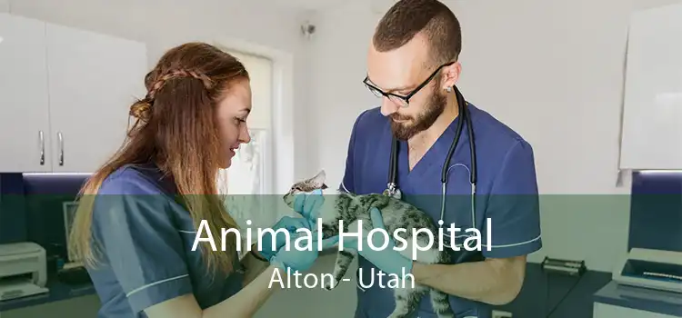 Animal Hospital Alton - Utah