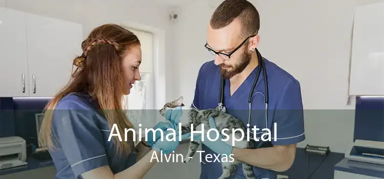 Animal Hospital Alvin - Texas