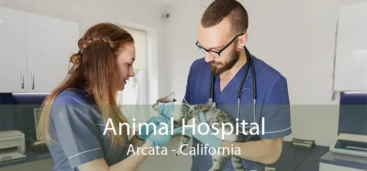 Animal Hospital Arcata - California