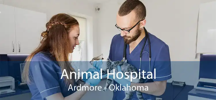 Animal Hospital Ardmore - Oklahoma