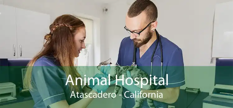 Animal Hospital Atascadero - California