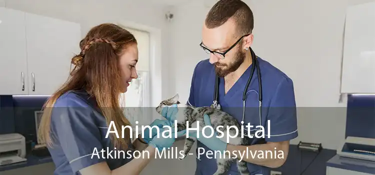 Animal Hospital Atkinson Mills - Pennsylvania