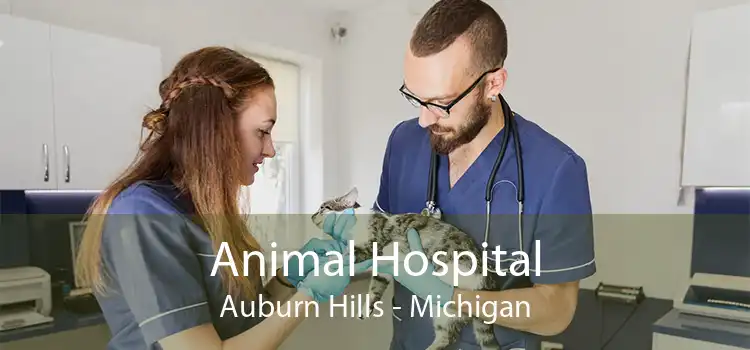 Animal Hospital Auburn Hills - Michigan