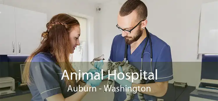 Animal Hospital Auburn - Washington