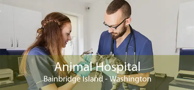 Animal Hospital Bainbridge Island - Washington
