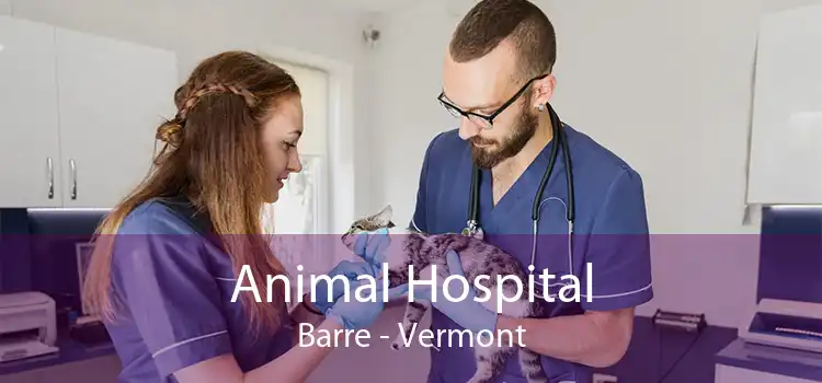 Animal Hospital Barre - Vermont