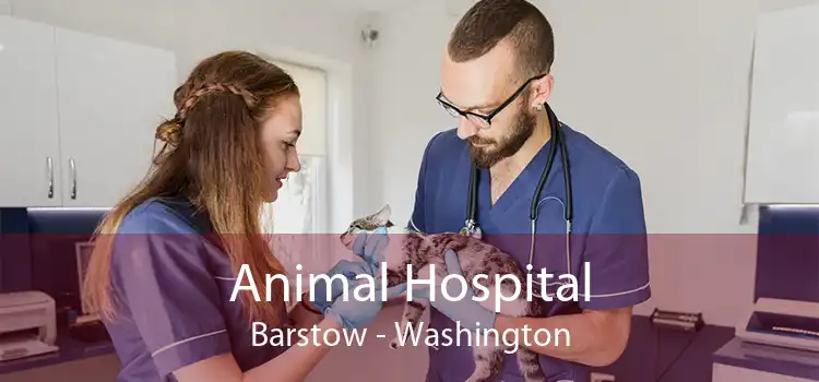 Animal Hospital Barstow - Washington
