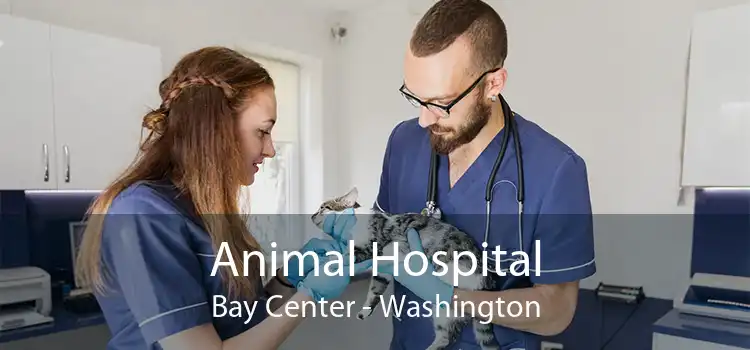 Animal Hospital Bay Center - Washington