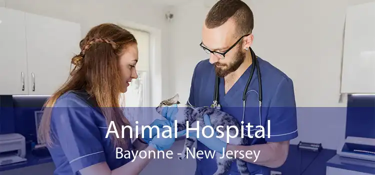 Animal Hospital Bayonne - New Jersey