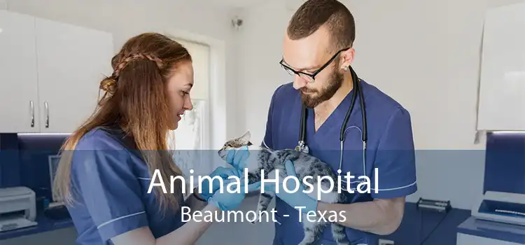 Animal Hospital Beaumont - Texas