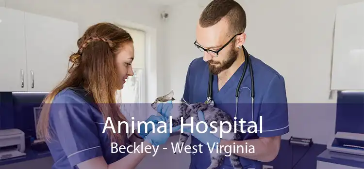 Animal Hospital Beckley - West Virginia