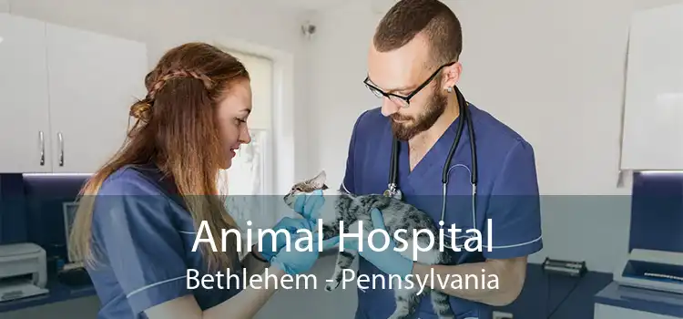 Animal Hospital Bethlehem - Pennsylvania