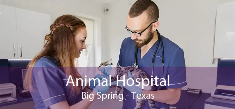 Animal Hospital Big Spring - Texas