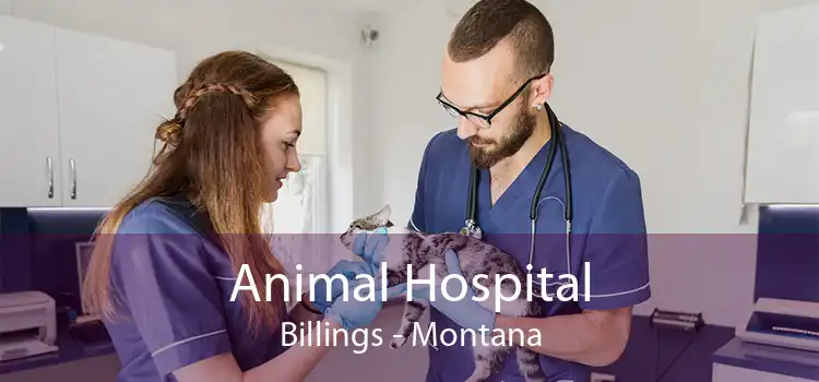 Animal Hospital Billings - Montana