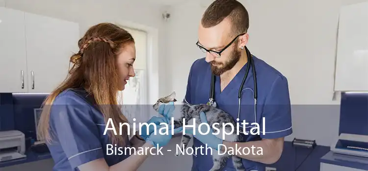 Animal Hospital Bismarck - North Dakota