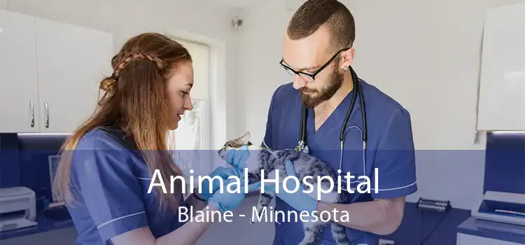 Animal Hospital Blaine - Minnesota