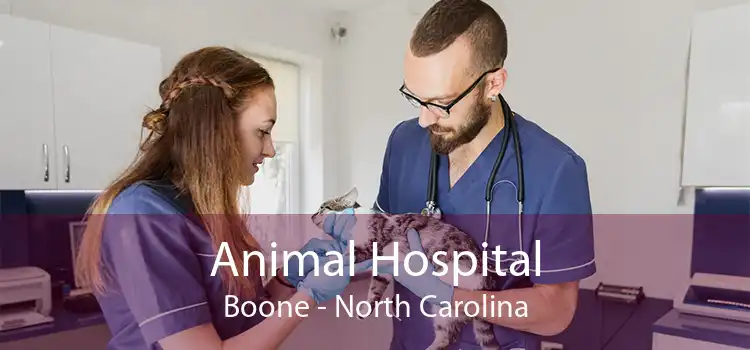 Animal Hospital Boone - North Carolina