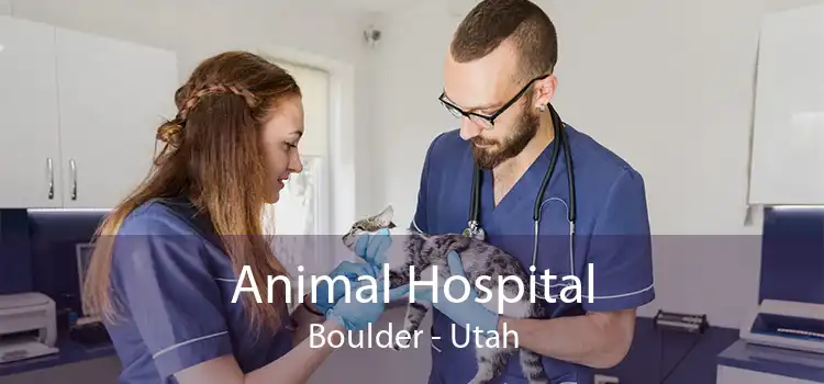 Animal Hospital Boulder - Utah