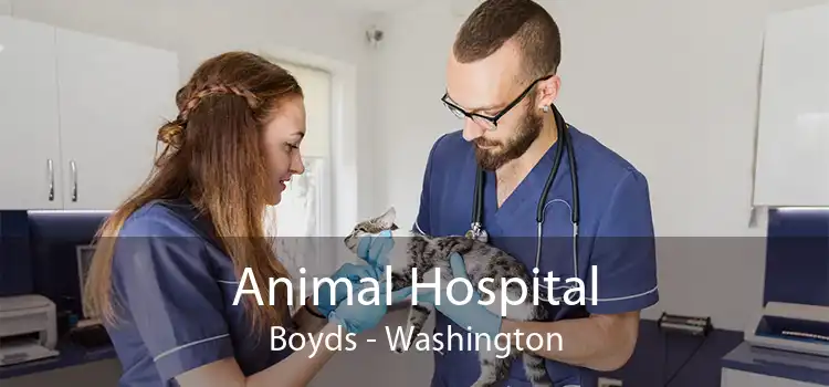 Animal Hospital Boyds - Washington