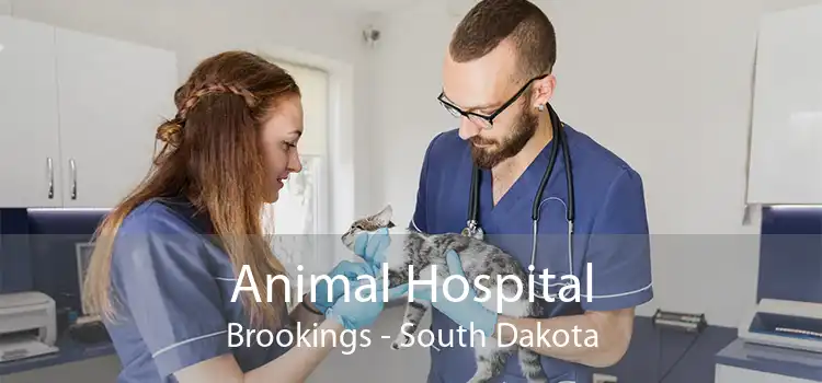 Animal Hospital Brookings - South Dakota