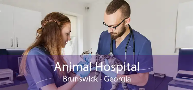 Animal Hospital Brunswick - Georgia