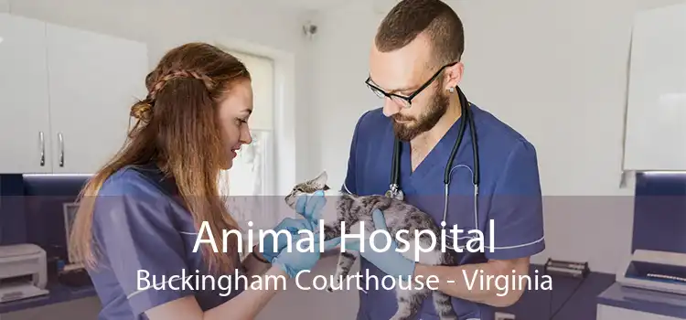 Animal Hospital Buckingham Courthouse - Virginia