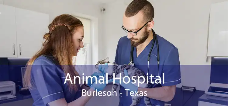 Animal Hospital Burleson - Texas