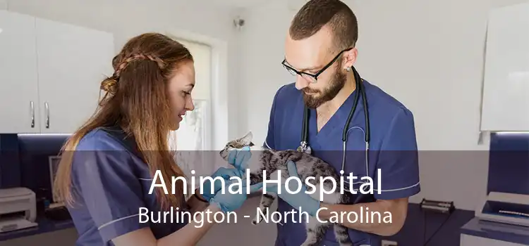 Animal Hospital Burlington - North Carolina