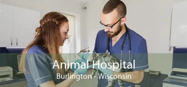 Animal Hospital Burlington - Wisconsin