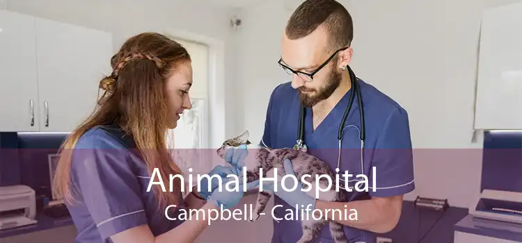 Animal Hospital Campbell - California