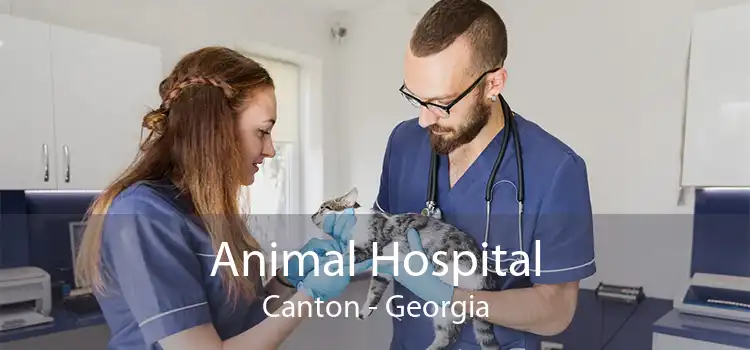 Animal Hospital Canton - Georgia