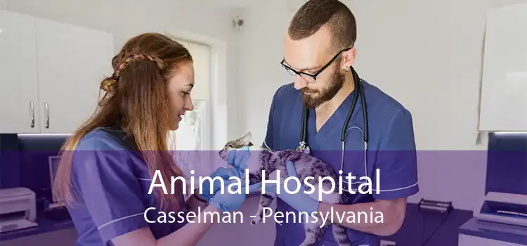 Animal Hospital Casselman - Pennsylvania