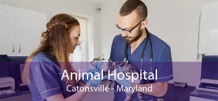 Animal Hospital Catonsville - Maryland