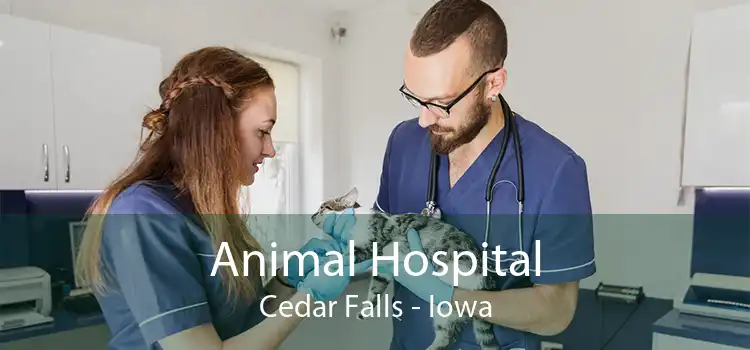 Animal Hospital Cedar Falls - Iowa