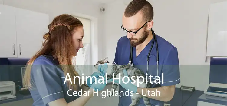 Animal Hospital Cedar Highlands - Utah