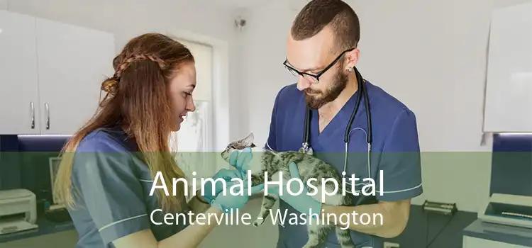 Animal Hospital Centerville - Washington