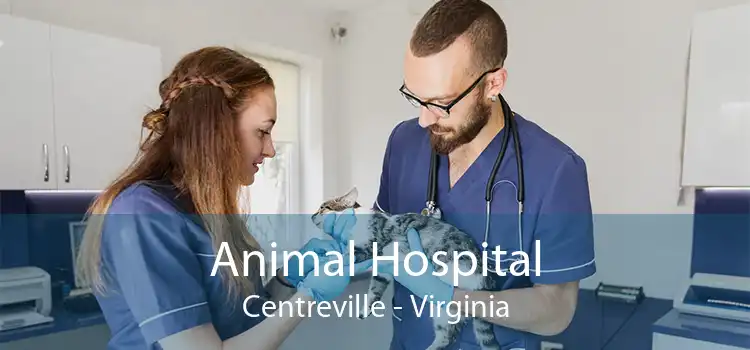 Animal Hospital Centreville - Virginia