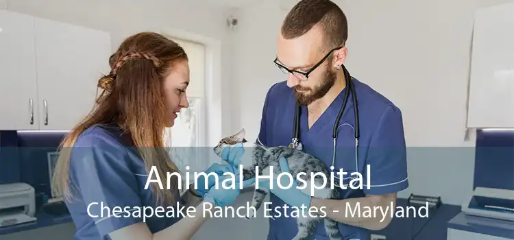 Animal Hospital Chesapeake Ranch Estates - Maryland