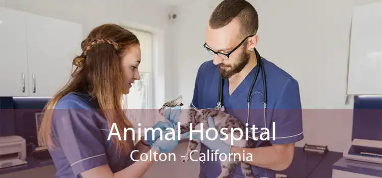 Animal Hospital Colton - California
