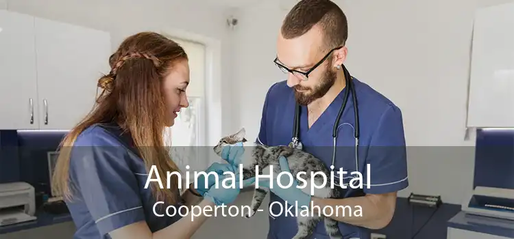 Animal Hospital Cooperton - Oklahoma