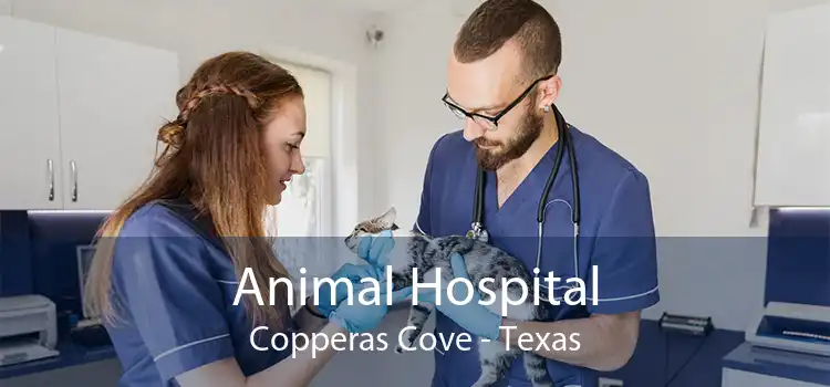 Animal Hospital Copperas Cove - Texas