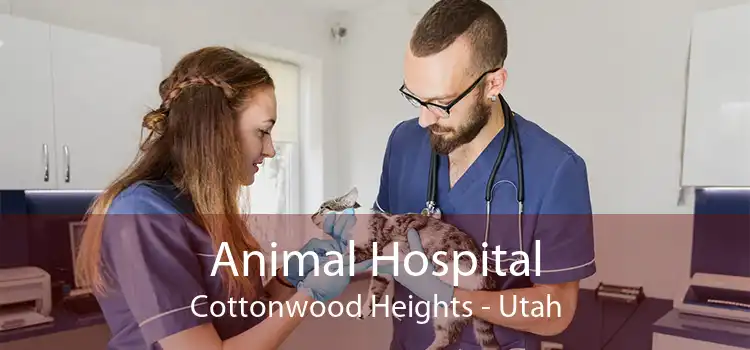Animal Hospital Cottonwood Heights - Utah